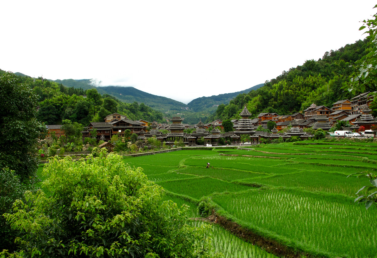 Rice paddies lead toward wooden buildings and drum-tower forms in Zhaoxing village, Guizhou.
