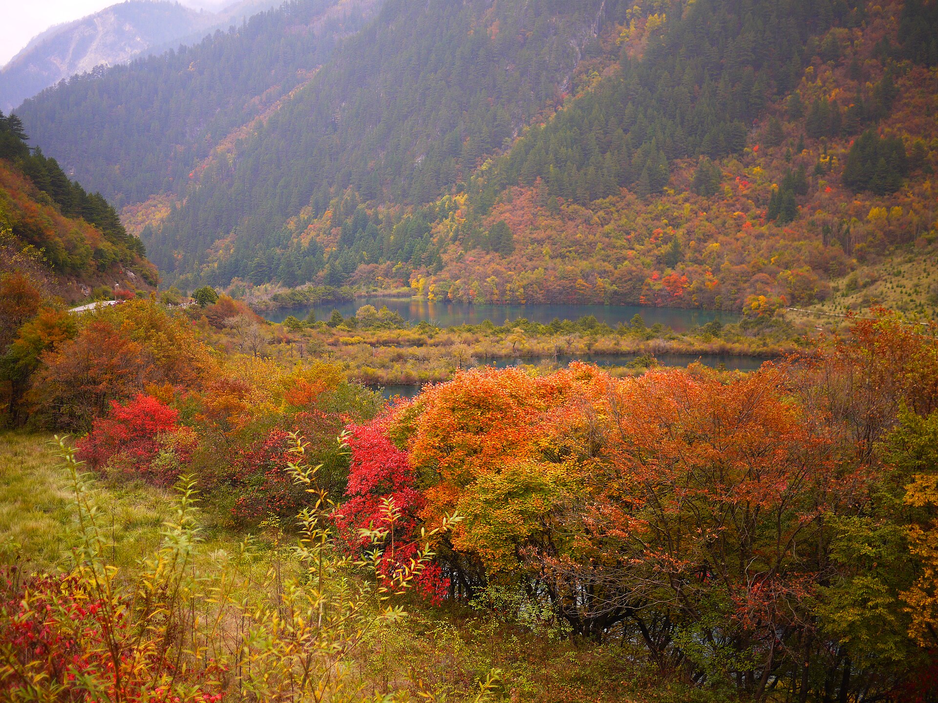 A chain of Shuzheng Lakes lies among orange, red and green autumn forest in Jiuzhaigou.