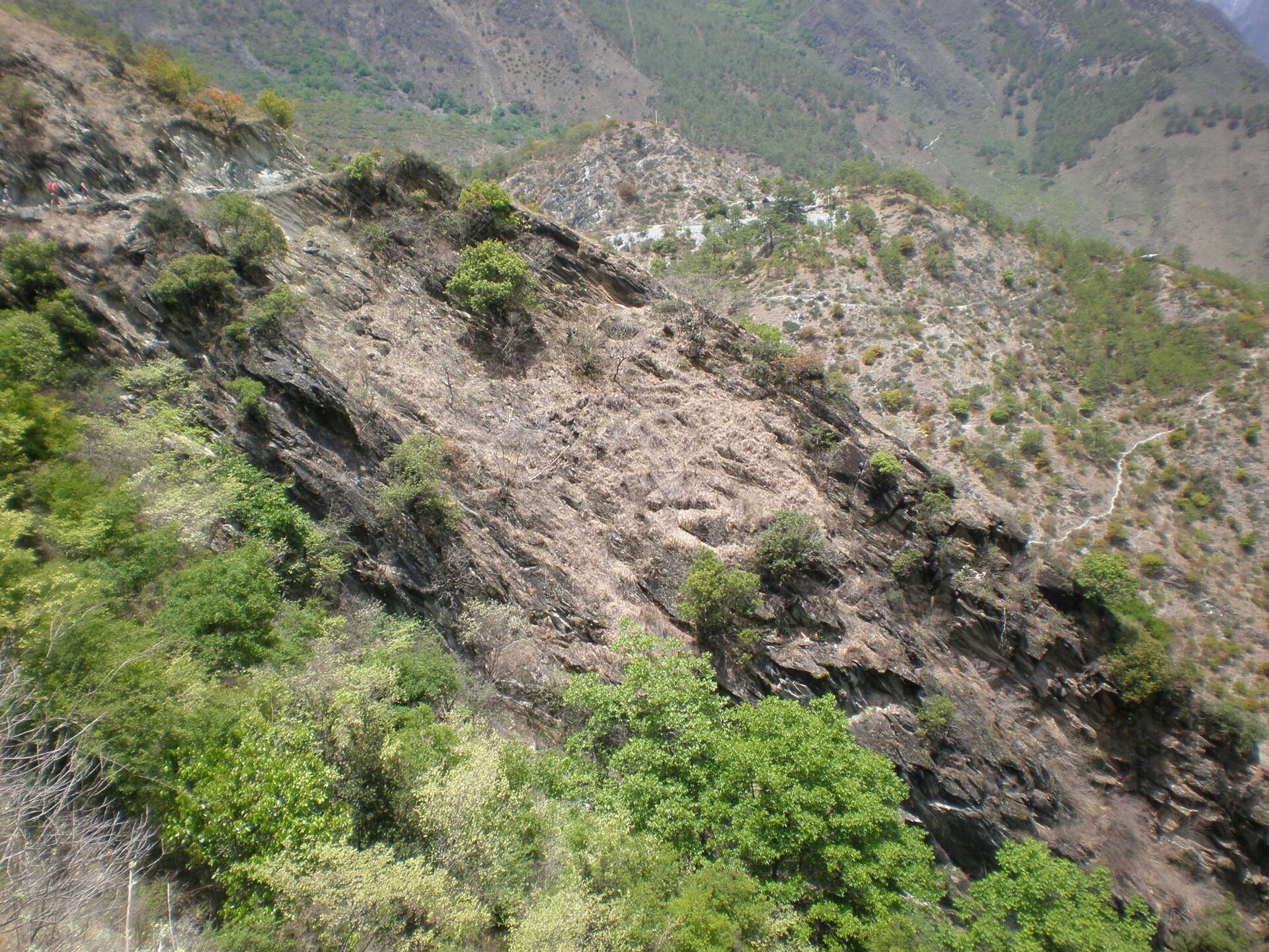 A pale footpath crossing a steep mountainside in a 2008 historical photograph of the Tiger Leaping Gorge trail.