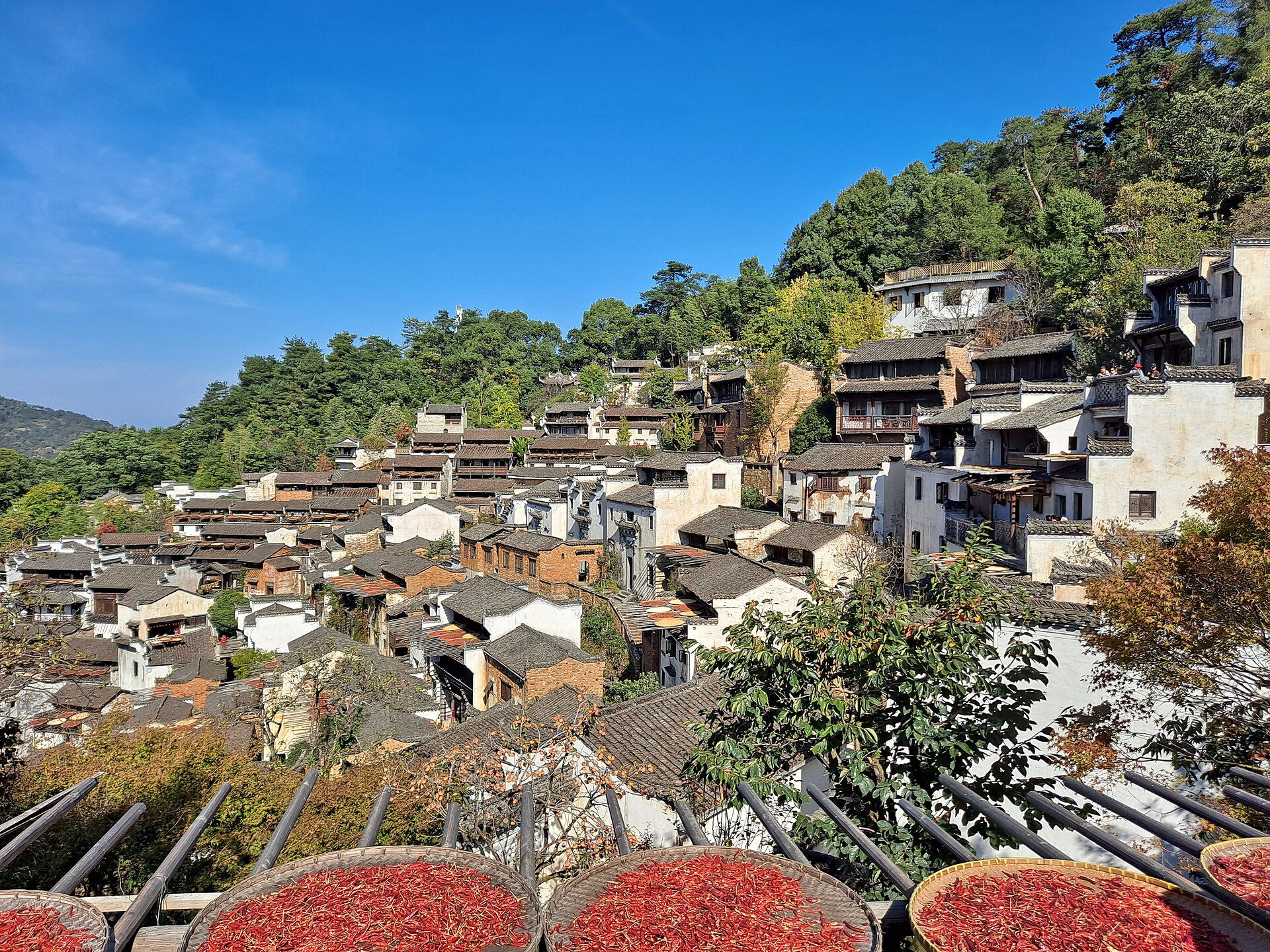 White-walled and dark-roofed houses climb a forested hillside in Huangling village, Wuyuan, with round drying trays in the foreground.