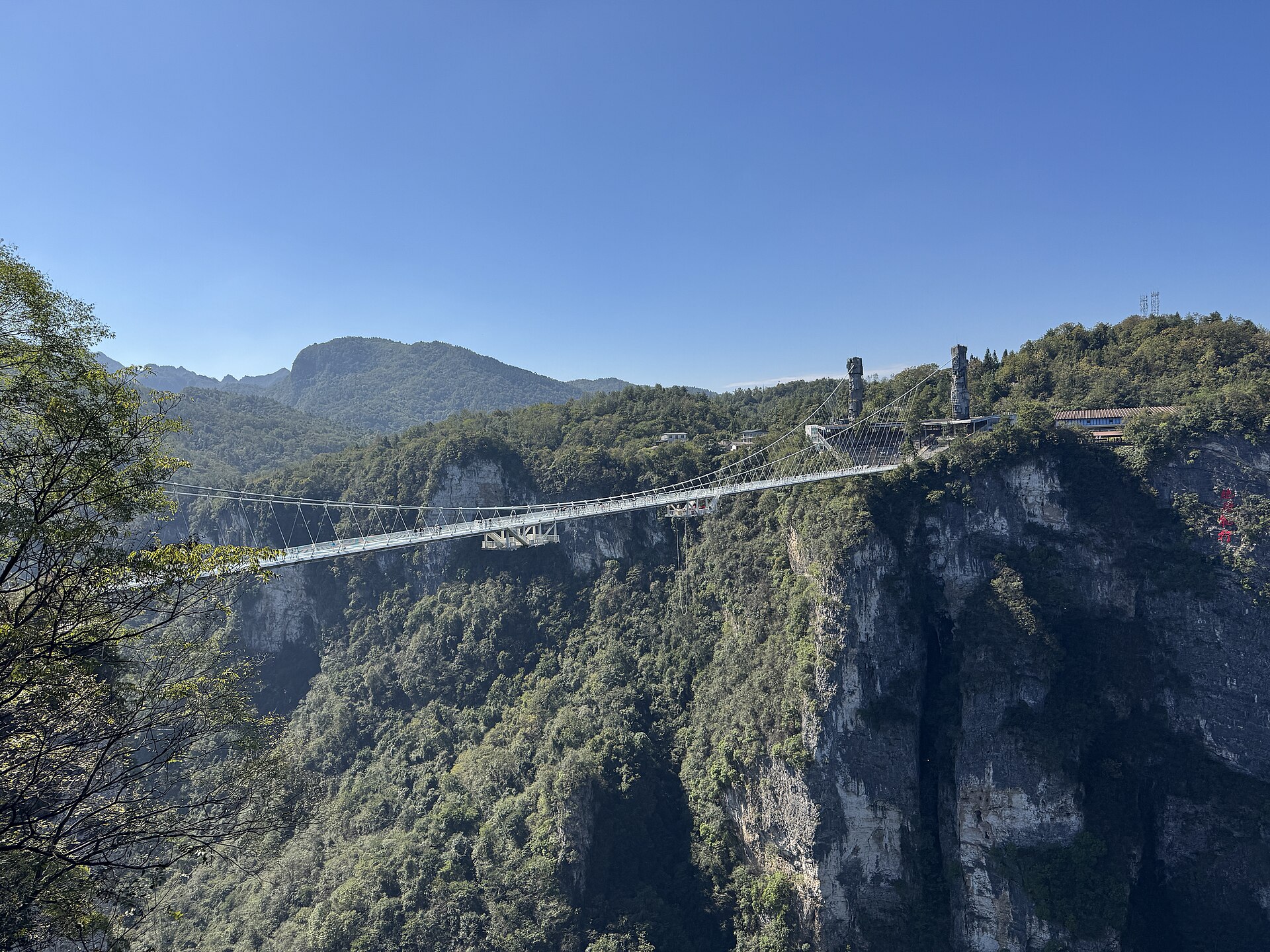 Zhangjiajie Grand Canyon Glass Bridge spanning a forested canyon in October 2024.